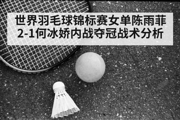 世界羽毛球锦标赛女单陈雨菲2-1何冰娇内战夺冠战术分析
